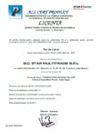 licenta